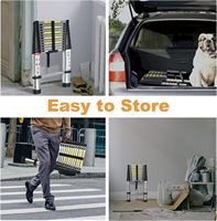 Échelle extensible en aluminium, pliable, compacte, portable, antidérapante, échelles pliables pour la maison, le grenier, le camping-car, le loft, le toit