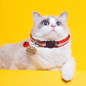 Upgraded Version Reflective Cat Collar Cat Head Buckle Breakaway Adjustable <b>Light</b> Nylon Striped Cat <b>Dog</b> Pet Collar With Bell - Product Image 6