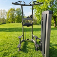 Station de dips professionnelle avec barre de traction – Tour de musculation robuste de qualité commerciale pour la calisthénie avec poids et l'entraînement au poids corporel