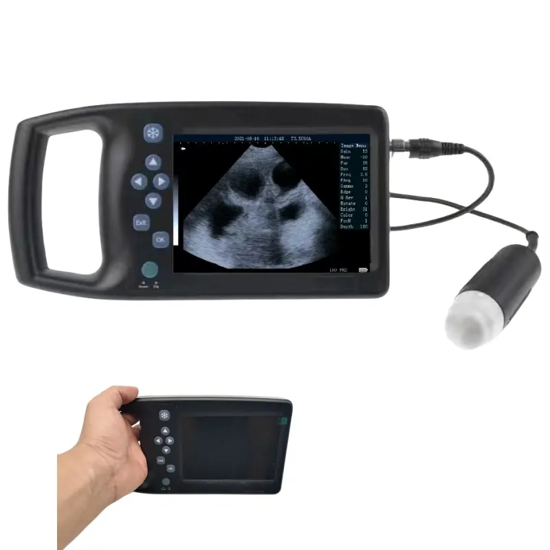 Veterinaire Schapen Zwangerschap Echografie Scanner Sonar Draagbare Geit Echografie Machine Voor Dierenkliniek