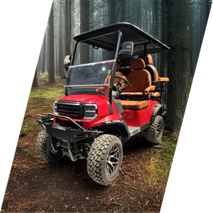 รถกอล์ฟไฟฟ้าลิเธียมแบบคลาสสิกด้านหลังคุณภาพสูงทันสมัยกลางแจ้งหรูหรา - Product Image 3