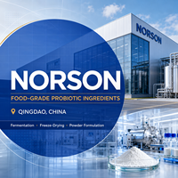 Polvo de Akkermansia Muciniphila AKK001 Directo de Fábrica en China, Ingrediente a Granel Personalizado con CFU para la Formulación de Productos