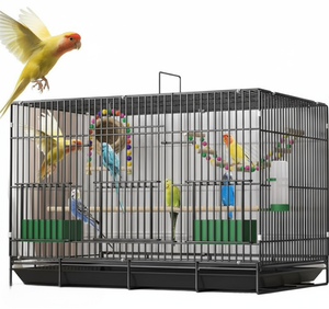 Büyük lüks katlanabilir demir kuş üreme kafesi katı desen düğme açık papağan evcil Metal için uygun kuş evi - Product Image 3