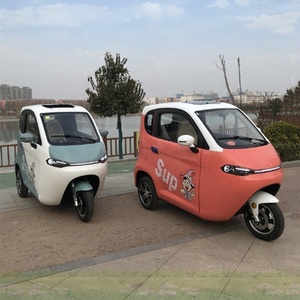 Tricycle électrique adulte fermé à toit, norme européenne EEC, pour passagers - Product Image 1
