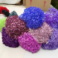 Naturecho Yunnan Getrocknete Blumen Ewig Haltbar mit Glycerin Konserviert Umweltfreundlich Individuelle Farben 50-60CM Tischdekoration für Abschlussfeier