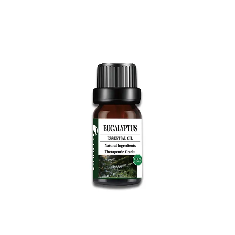 Eucalipto puro olio essenziale produttore naturale estratto di olio diffusore per la cura della pelle umidificatore e profumo