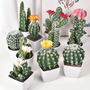 Petite plante artificielle <span class=keywords><strong>en</strong></span> <span class=keywords><strong>pot</strong></span>, cactus, plante de simulation pour la décoration de bureau moderne et simple, mini succulente artificielle, bricolage - Product Image 1