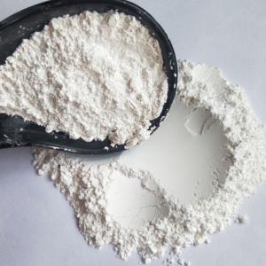 <span class=keywords><strong>Terre</strong></span> <span class=keywords><strong>de</strong></span> diatomées écologique pour le jardinage biologique, la litière pour animaux et le contrôle naturel des insectes - Product Image 3