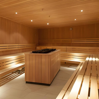Sauna infrarouge moderne individuel pour intérieur, 5 chauffages, Bluetooth, faible EMF, en bois de pruche, idéal appartement, chambre, salon – Vente directe usine