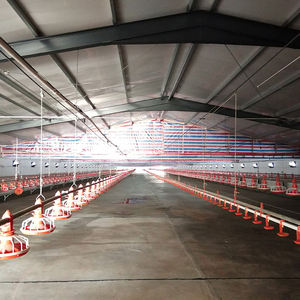 Sistema automático de comedero para aves de corral, gallinero, granja avícola, gallinero para 10000 pollos - Product Image 1