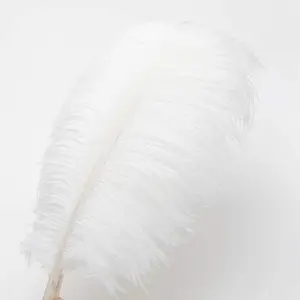 Top Jual 15-80Cm Panjang Bulu Burung Unta Trim Putih Besar Merah Bulu Burung Unta untuk Pernikahan Centerpieces Dekorasi