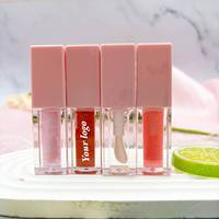 Gloss à lèvres hydratant à formule naturelle, acide hyaluronique, vitamine E, huile repulpante pour les lèvres, pour le maquillage, la beauté et les cosmétiques