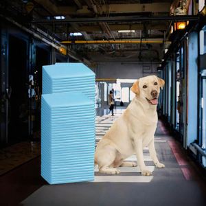 Almohadillas Reutilizables de Alta Calidad para Orina de Mascotas Pequeñas, para Entrenamiento de Cachorros, con SAP Personalizado, Material de Papel Plástico No Desgarrable, Muestra Gratis - Product Image 4