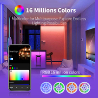 RGB Smart LED Kit Musique Sync App Télécommande USB 5V Led Strip Lights pour Chambre TV PC Rétroéclairage Ambient