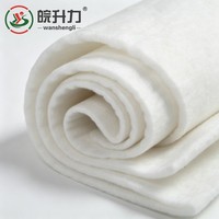 WSL - Géotextile de stabilisation des sols en bord de rivière avec excellente filtration UV - Polyester non tissé renforcé