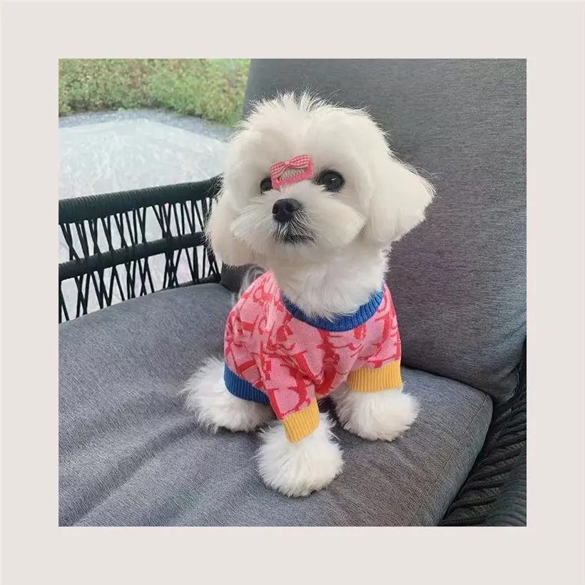 High-end pet luxury dog clothes luxury Autumn and winter knitted pullover trendy dog sweater fashion brand