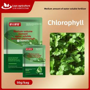 Fertilizante foliar de elemento medio, aminoácido de clorofila para el crecimiento de plántulas, fertilizador orgánico de árboles frutales y verduras - Product Image 2