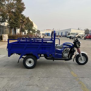 Tricycle à moteur à essence de haute qualité pour l'Afrique, tricycle motorisé à trois roues, tricycle à moteur lourd - Product Image 2