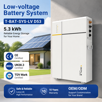 Batterie domestique LiFePO4 51,2 V 100 Ah 5,3 kWh, ESS basse tension, plus de 6000 cycles, batterie murale à décharge profonde pour stockage d'énergie solaire