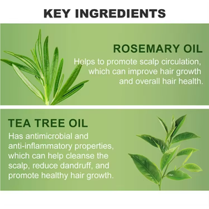 Set per la Crescita dei Capelli Biologico all'Ingrosso, Shampoo e Balsamo Naturale al Ginger Anticaduta OEM - Product Image 5