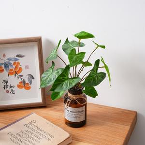 ใบไม้ประดิษฐ์ขายส่ง ใบไม้เขตร้อน ก้านใบสีเขียว สำหรับงานแต่งงาน แจกัน จัดดอกไม้ - Product Image 5