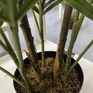 Mini palmera artificial, hoja de PE, para decoración interior del hogar - Product Image 6