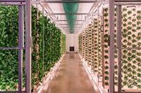 Conduits de ventilation anti-biologique légers de qualité supérieure pour les serres de plantes d'intérieur Systèmes de CVC flexibles industriels