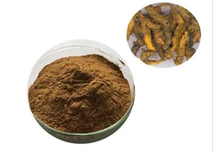 Polvo de Raíz de Golden Seal Premium, Grado Alimenticio, Finamente Molido, Polvo de Raíz Herbal Natural para Té de Hierbas, Mezclas Botánicas Tradicionales - Product Image 2