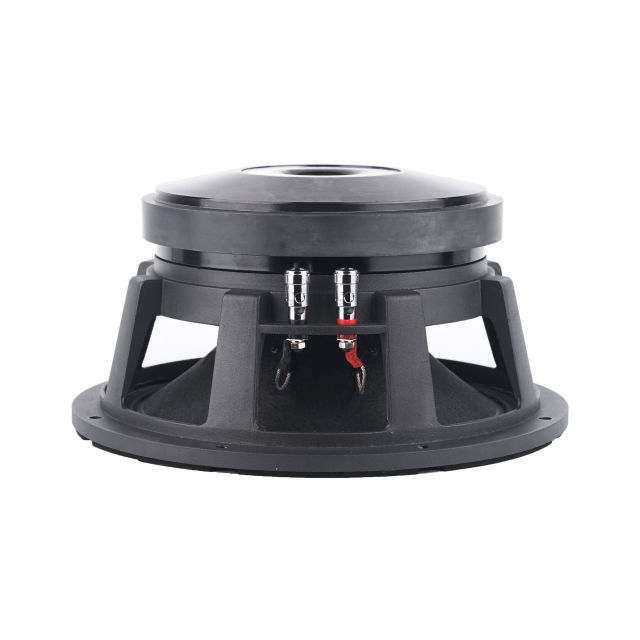 Professional Design Style 3'' Voice Coil 10 Inch Special Frame Mid Bass High Quality Woofer Speaker
