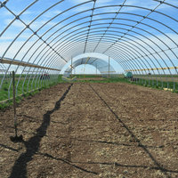 Serre de tunnel agricole système hydroponique de culture de fleurs à cadre en acier galvanisé