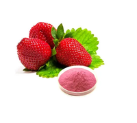 Vente en gros en vrac 100% naturel soluble instantané extrait de plante en poudre de fruit de fraise de la nature