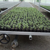 Plateaux agricoles verticaux hydroponique pot table d'inondation