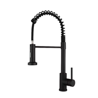 Keran Dapur Modern Satu Tuas Satu Tarikan Model Sprayer Mixer Air Panas Dingin Stainless Steel Warna Hitam Es untuk Hotel, Mal, Rumah Sakit