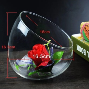 Home Decorative Handblown Big Mouth Clear Glass Air Plant Glass Bowl Terrarium - Product Image 3