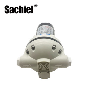 Bomba de diafragma motorizada FL420 personalizada 12V/24V 20L/Min para sistema de riego, aspiración, OEM, agua limpia, aceite y urea - Product Image 3