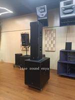 Haut-parleur de subwoofer actif de 18 pouces, 2400 W, système audio professionnel DSP allemand, système de sonorisation pour DJ, système de haut-parleurs en ligne