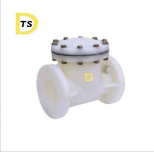 PP PPH UPVC PVDF <span class=keywords><strong>clapet</strong></span> <span class=keywords><strong>anti</strong></span>-<span class=keywords><strong>retour</strong></span> Dn50 <span class=keywords><strong>100</strong></span> 150 <span class=keywords><strong>clapet</strong></span> <span class=keywords><strong>anti</strong></span>-<span class=keywords><strong>retour</strong></span> en plastique <span class=keywords><strong>clapet</strong></span> <span class=keywords><strong>anti</strong></span>-<span class=keywords><strong>retour</strong></span> PVC - Product Image 4