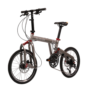 BIKE001 Birdy Bike Vélo Pliant Adulte Neuf 20 Pouces Logo Personnalisé 15 13 Aluminium Pliant 1.2 BIKE001 MINT PARROT Vélo Pliant - Product Image 3