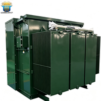 Transformateur triphasé monté sur socle 13,2 kV 480 V 225 kVA 250 kVA immergé dans l'huile, norme ANSI IEEE, transformateur de distribution extérieur