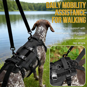 Harnais de levage pour chien, pour chiens âgés ou handicapés, soutien de la hanche, gilet de levage, sangle réglable, aide à la marche pour animaux de compagnie - Product Image 6
