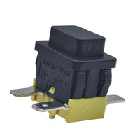 Interrupteur à bouton-poussoir momentané noir 16A 250VAC T125 15*21mm D P S T PS5-210 (ON) OFF avec borne 4.8mm