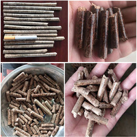 Petite paille de scie, feu de carburant, presse à biomasse pour faire des granulés de bois