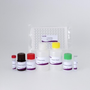 Kit per Test degli anticorpi ELISA PEDV ad alta sensibilità | Rilevamento del Virus della <span class=keywords><strong>diarrea</strong></span> epidemica suina | Strumento diagnostico veterinario - Product Image 4