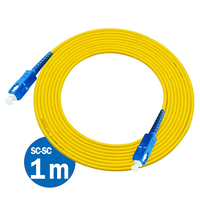 Factory Price Simplex G652D Fiber SC to SC UPC 1m Patch Cord FTTH IP Network