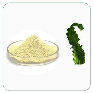 Заводские большие поставки водорослей <span class=keywords><strong>DHA</strong></span> порошок 10% 20% 30% 50% пищевая добавка натуральный шизохитрий водоросли - Product Image 2