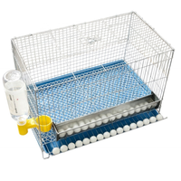 Cage à cailles automatique multicouche robuste pour la production d'œufs avec plateau coulissant