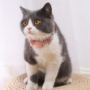 물고기 참과 종이 달린 땋은 고양이 목걸이, 조절 가능한 부드러운 수공예 애완동물 목걸이 (고양이, 새끼 고양이용) - Product Image 4