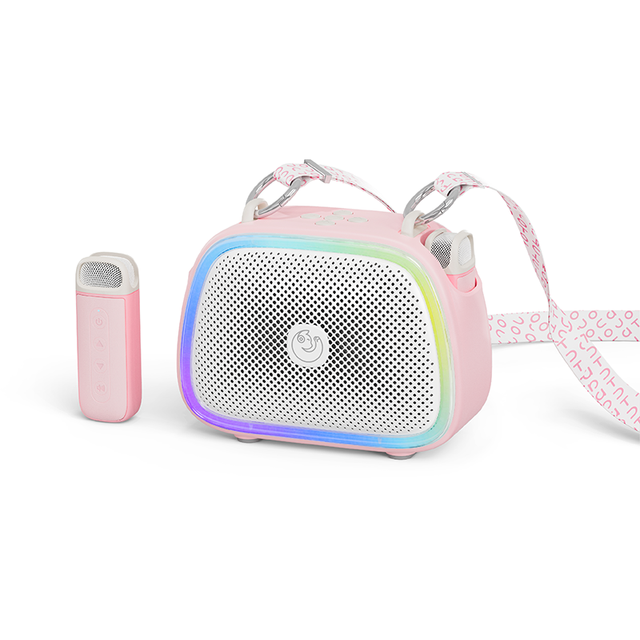 New Mini Kids Karaoke Speaker Dual Mic RGB LED Lights 5W AUX for Party Outdoor USB Battery Powered C22