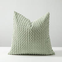 Housse de coussin décorative unie avec design plissé anti-rides à bulles 45x45cm pour la maison et l'hôtel