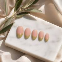 Y69 Offre Spéciale – Kit de 10 Faux Ongles Réutilisables en ABS, Forme Amande, Taille Unique, Vente en Gros, Ongles Artificiels Français Moyens